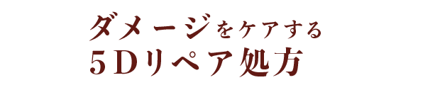 ダメージをケアする5Dリペア処方