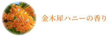 金木犀ハニーの香り