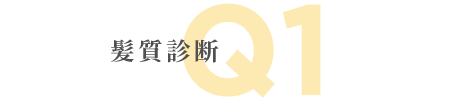 髪質診断 Q1