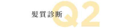 髪質診断 Q2