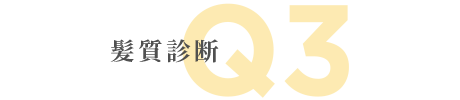 髪質診断 Q3