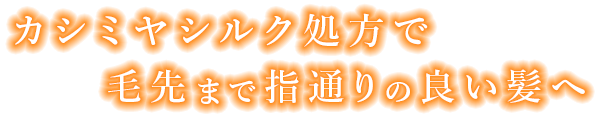 カシミヤシルク処方で毛先まで指通りの良い髪へ