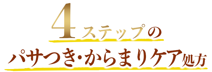 4ステップのパサつき・猫っ毛ケア処方