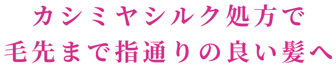 カシミヤシルク処方で毛先まで指通りの良い髪へ