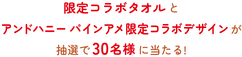 限定コラボタオルとアンドハニー パインアメ限定コラボデザインが抽選で30名様に当たる!