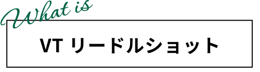 VT リードルショット