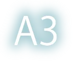 A3