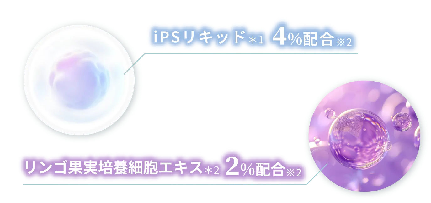 iPSリキッド＊1 4%配合※2 リンゴ果実培養細胞エキス＊2 2%配合※2