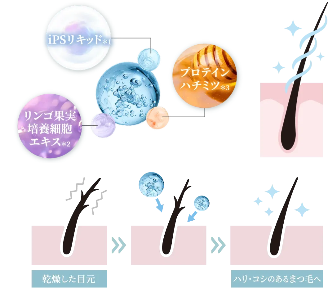 iPSリキッド＊1 プロテインハチミツ＊3 リンゴ果実培養細胞エキス＊2 厳選された成分 乾燥した目元 ハリ・コシのあるまつ毛へ