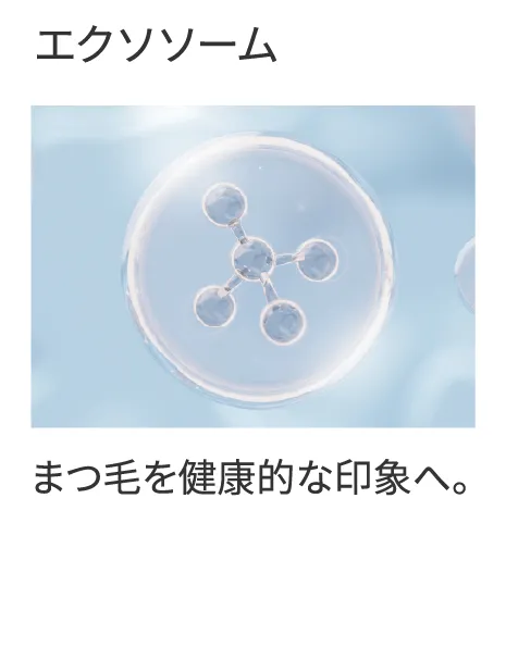 エクソソーム まつ毛を健康的な印象へ。