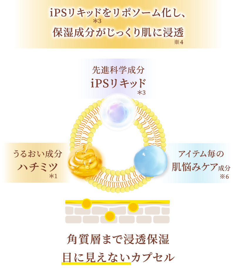 オレフィン(C14－16)スルホン酸Na・サルフェート(ラウレス硫酸Naなど)をカットして、髪や頭皮にやさしい処方設計を採用しました。