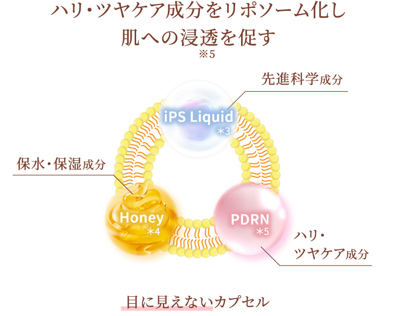 ハリ・ツヤケア成分をリポソーム化し肌への浸透を促す